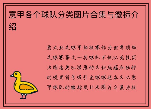 意甲各个球队分类图片合集与徽标介绍