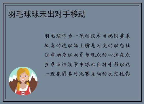 羽毛球球未出对手移动